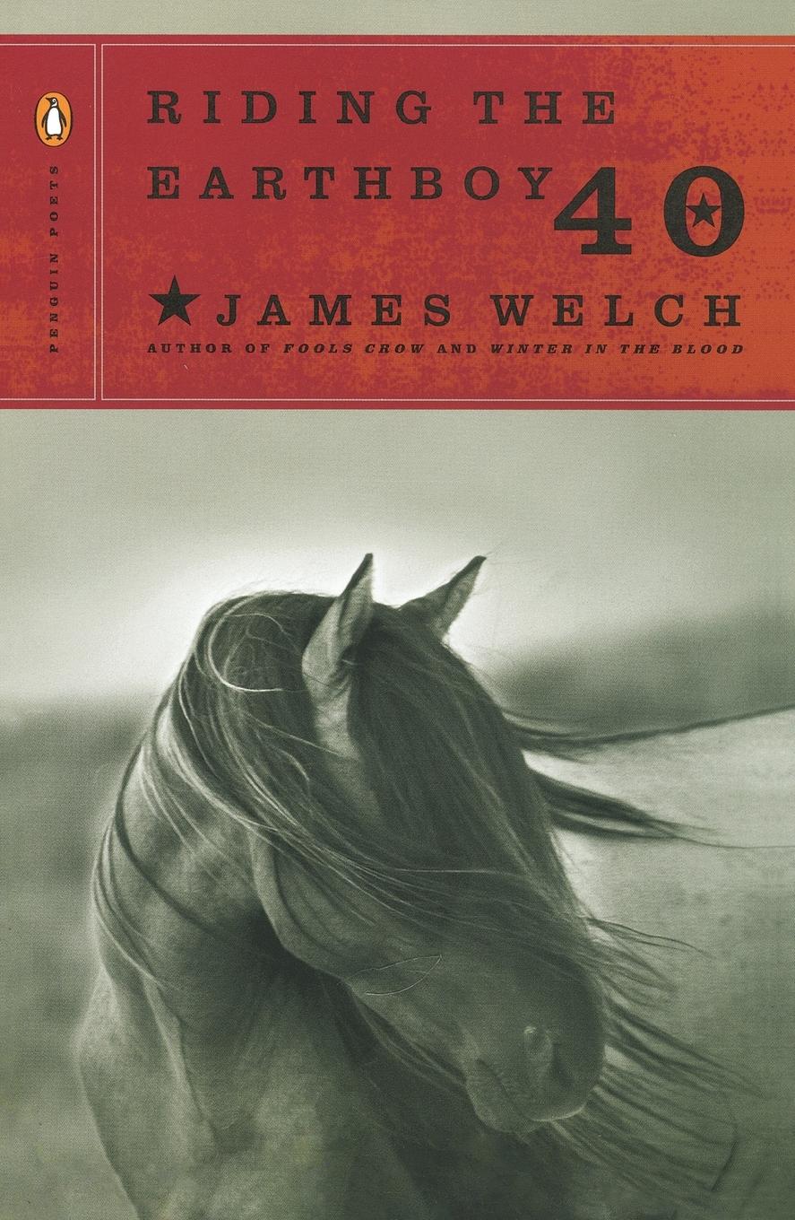 Vorderes Coverbild Riding the Earthboy 40