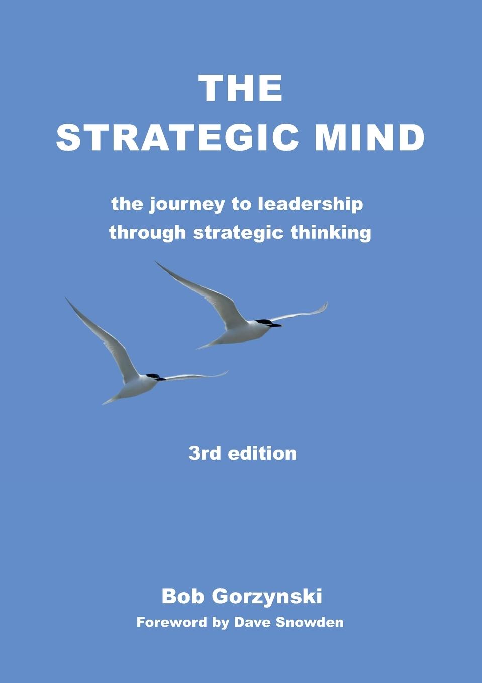 Vorderes Coverbild The Strategic Mind