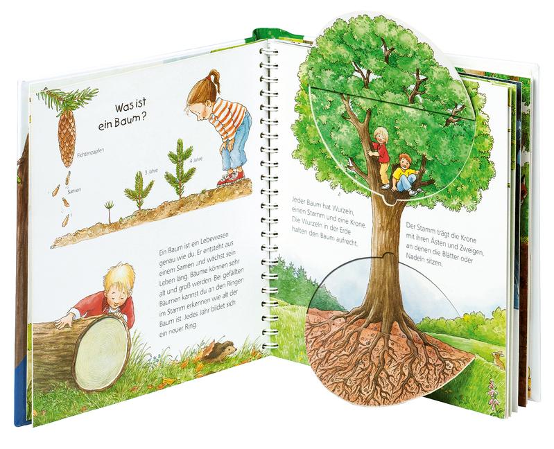 Beispielinhalt (Bild) Wieso? Weshalb? Warum? junior, Band 6: Der Wald