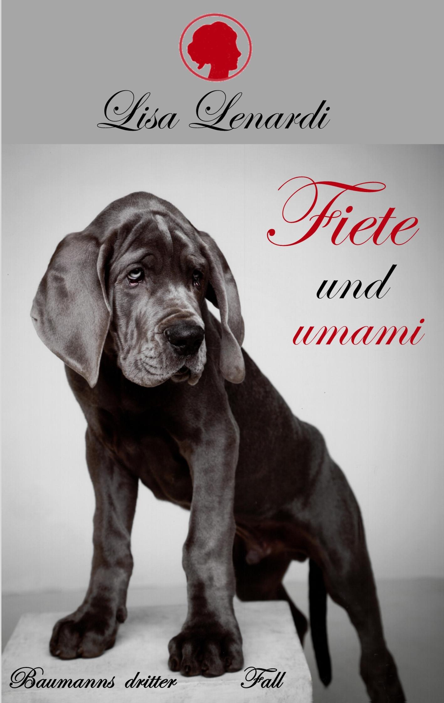 Vorderes Coverbild Fiete und umami