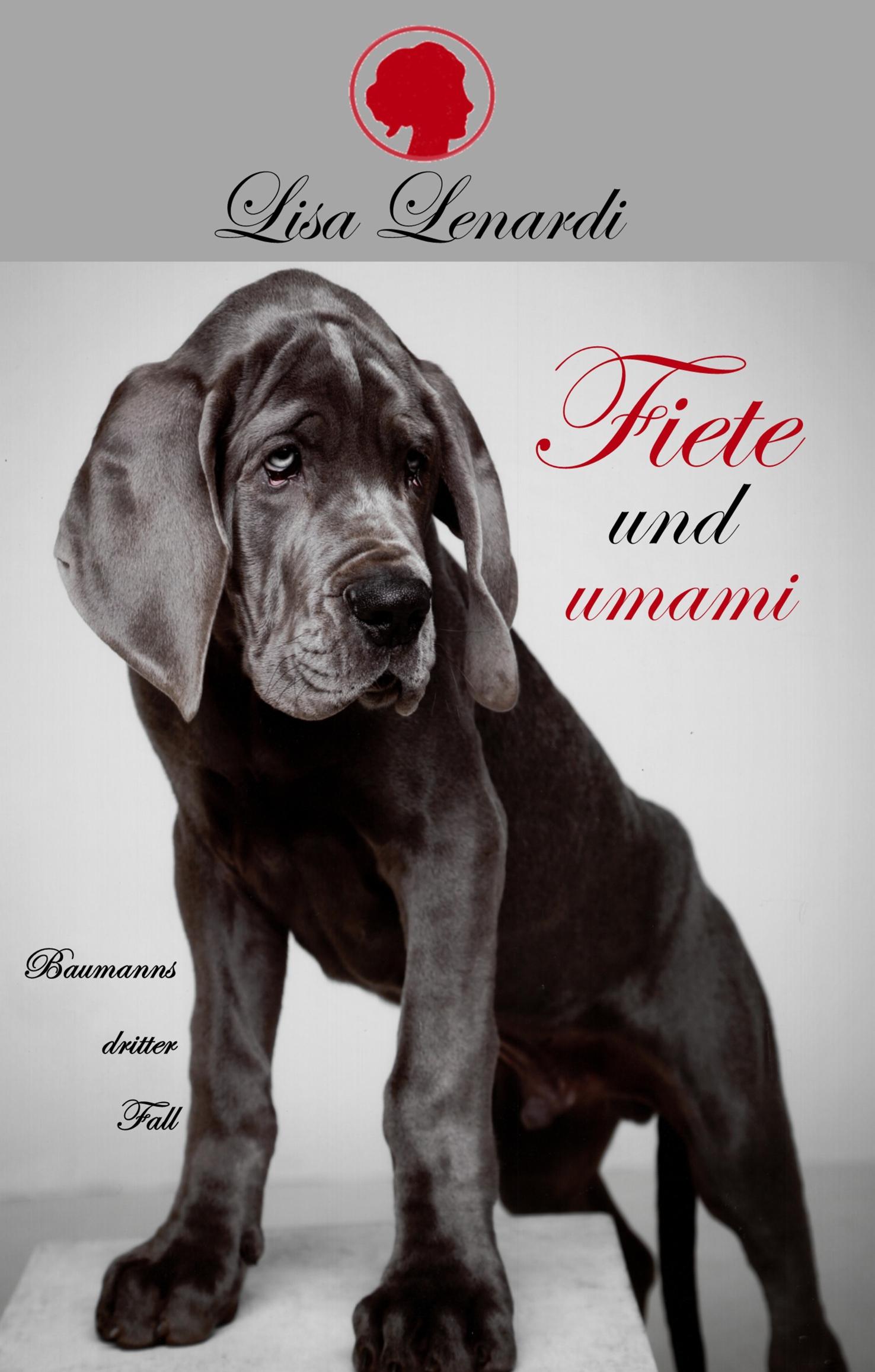 Vorderes Coverbild Fiete und umami