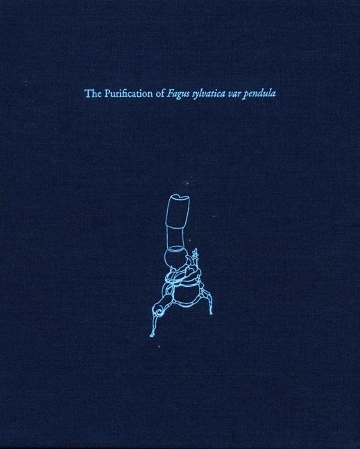 Vorderes Coverbild Paul Etienne Lincoln: The Purification of Fagus Sylvatica Var Pendula