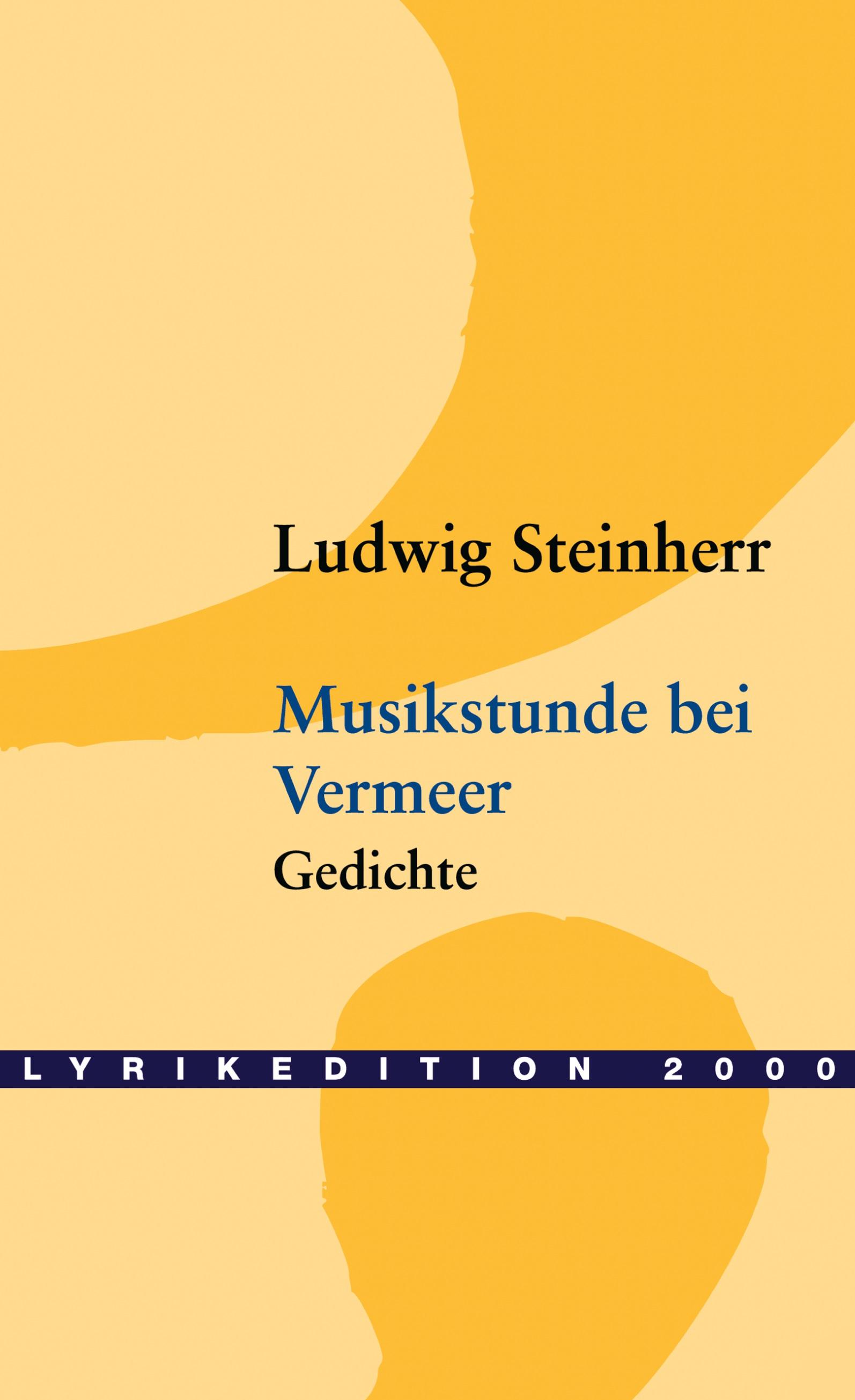 Vorderes Coverbild Musikstunde bei Vermeer