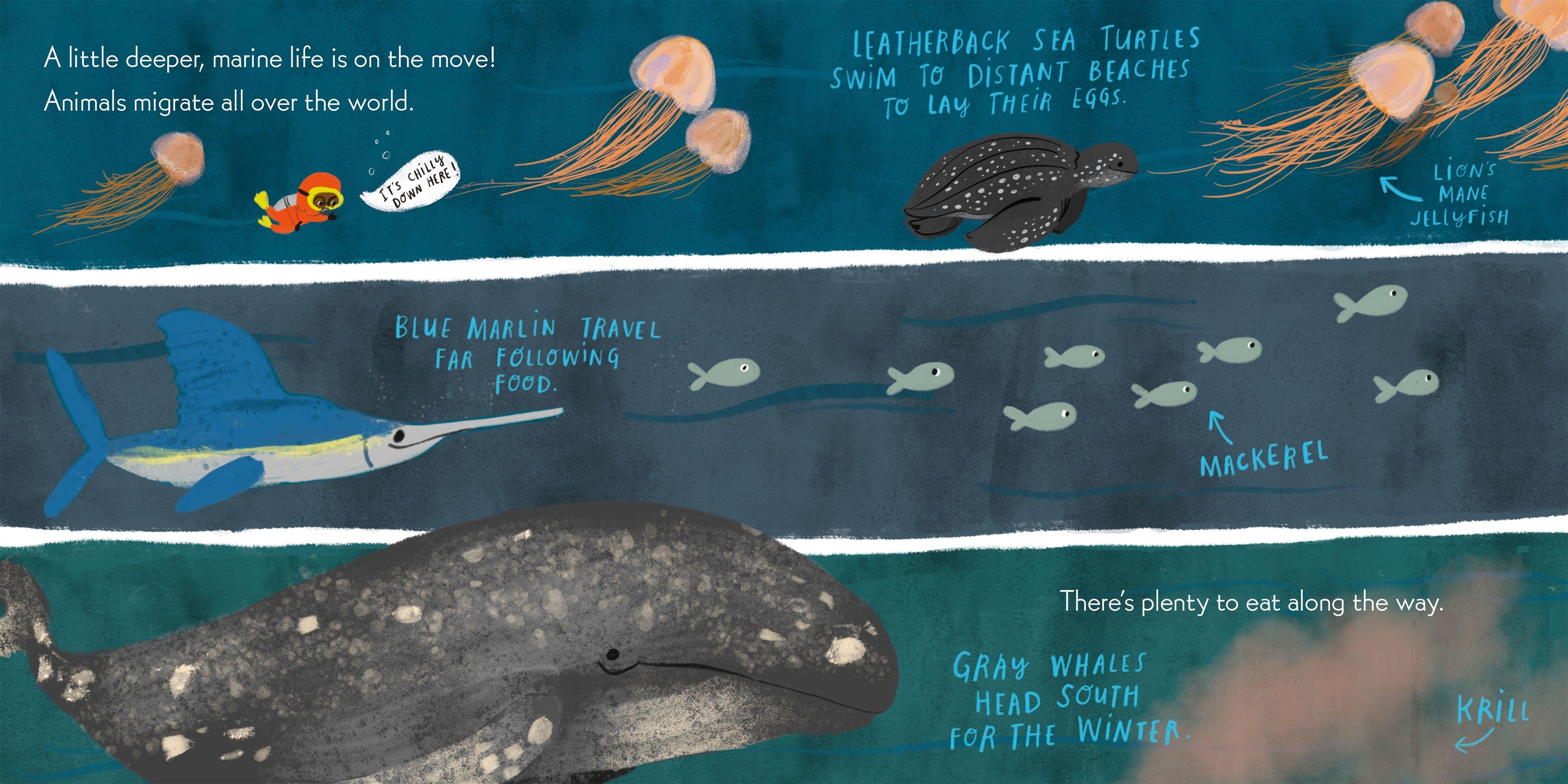 Beispielinhalt (Bild) Nerdy Babies: Ocean