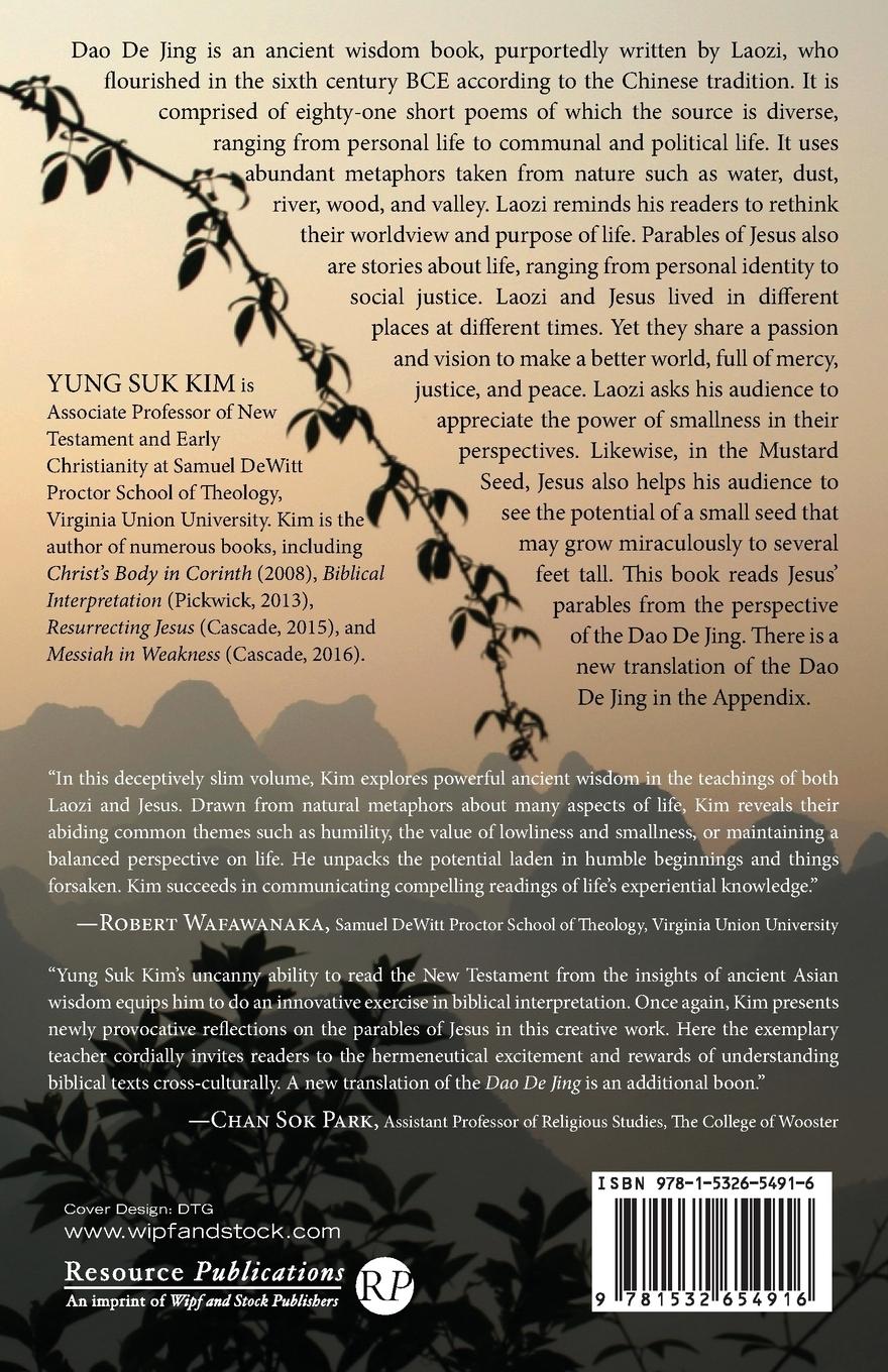 Rückseitencover Reading Jesus' Parables with Dao De Jing
