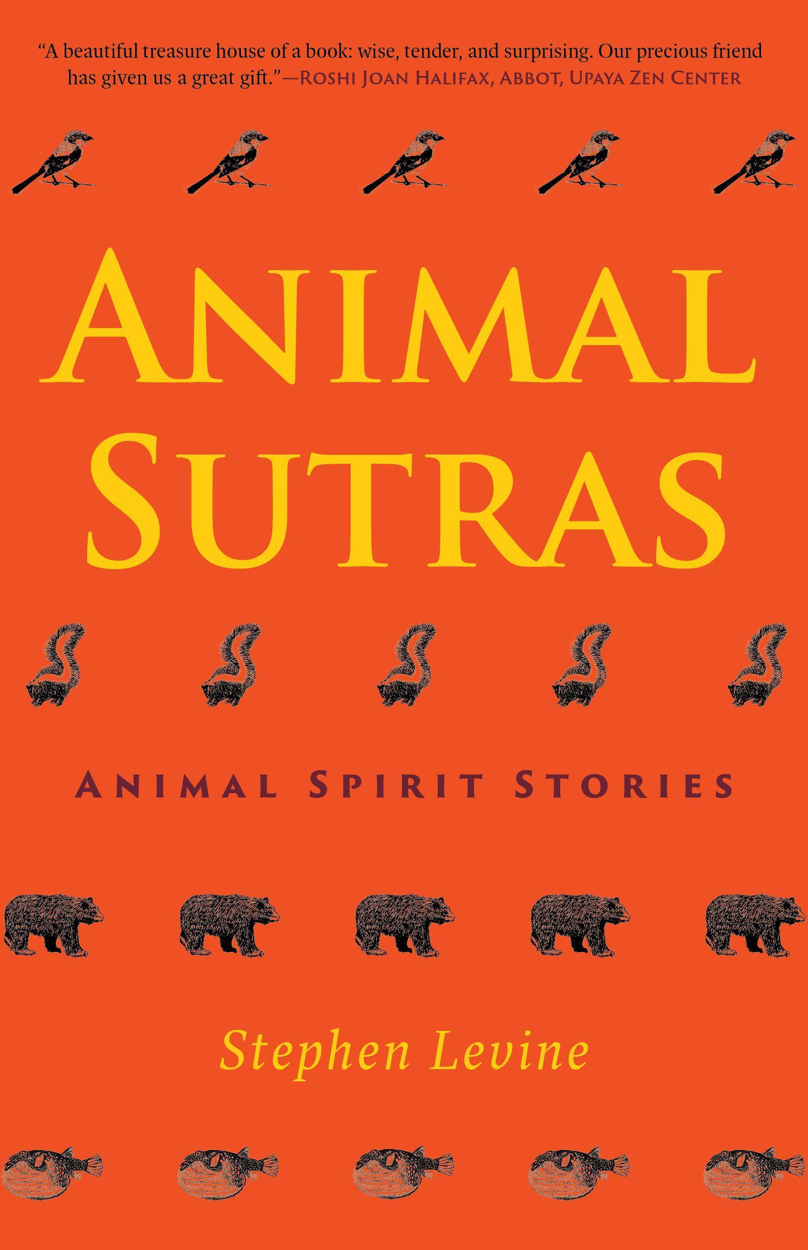 Vorderes Coverbild Animal Sutras