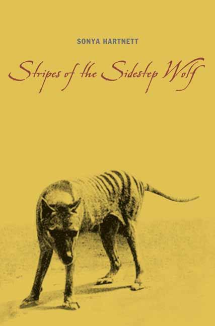 Vorderes Coverbild Stripes of the Sidestep Wolf