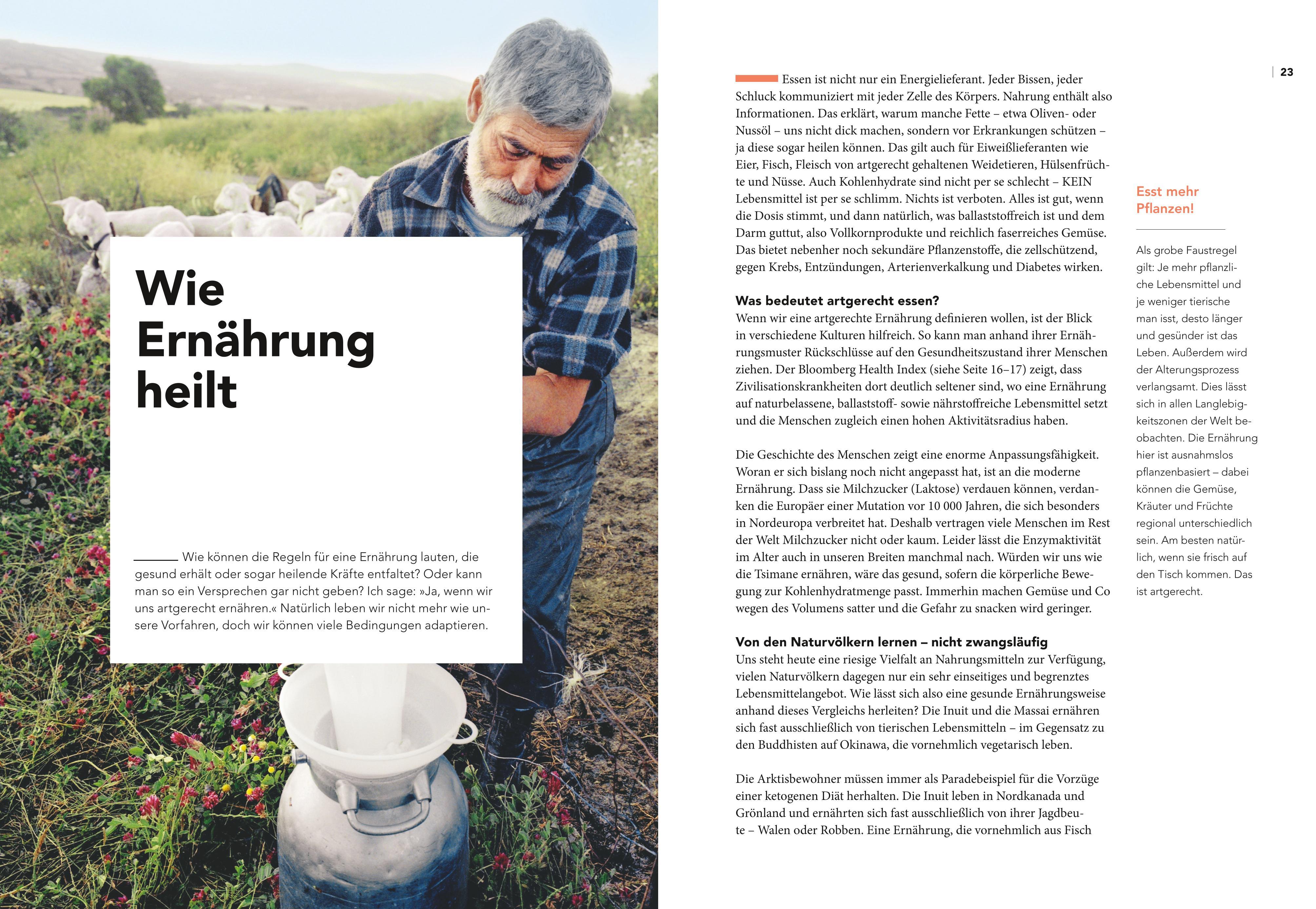 Beispielinhalt (Bild) Artgerechte Ernährung