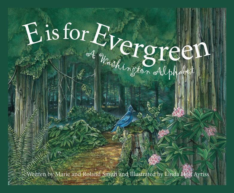 Vorderes Coverbild E Is for Evergreen