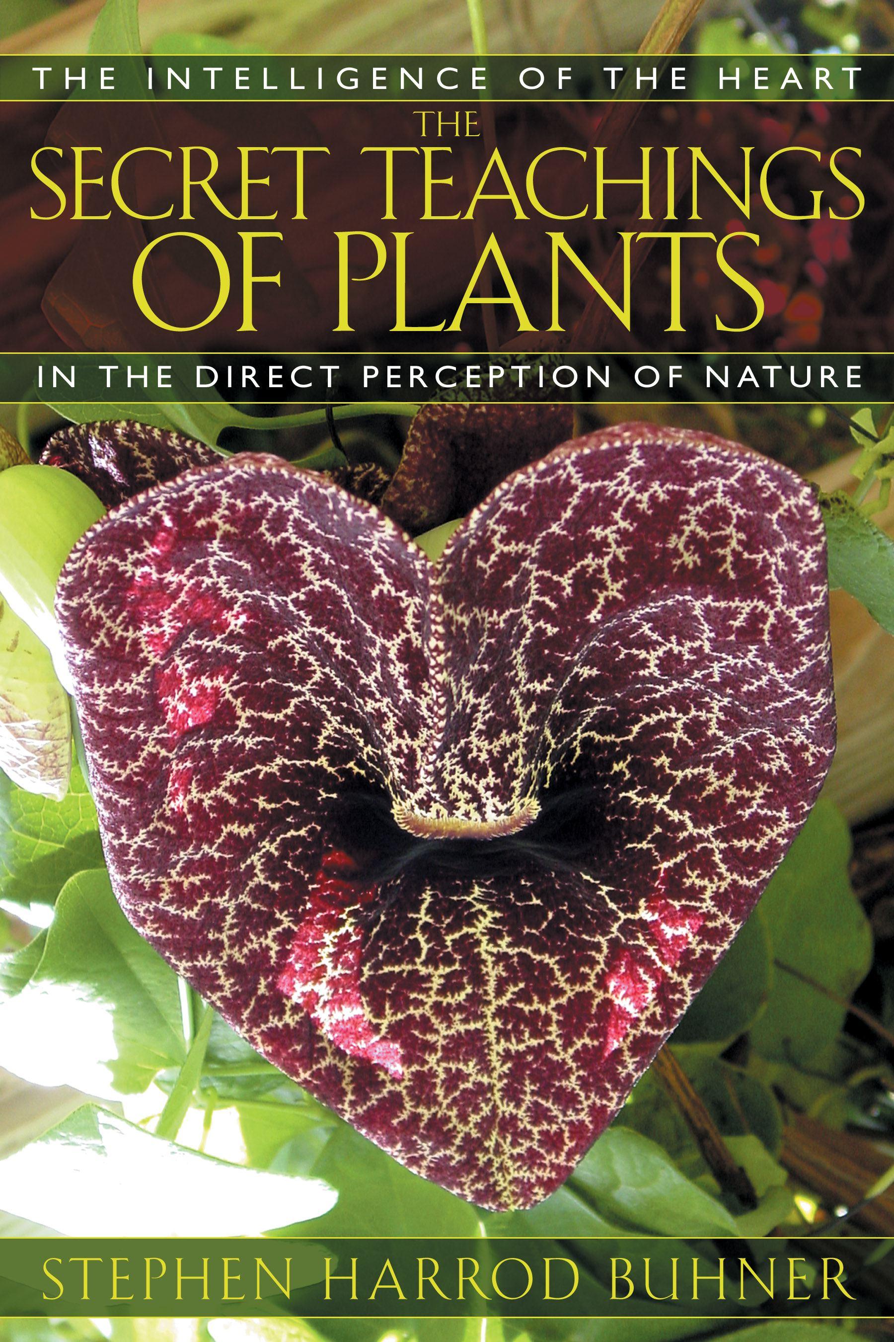 Vorderes Coverbild The Secret Teachings of Plants