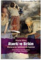 Vorderes Coverbild Ataerki ve Birikim