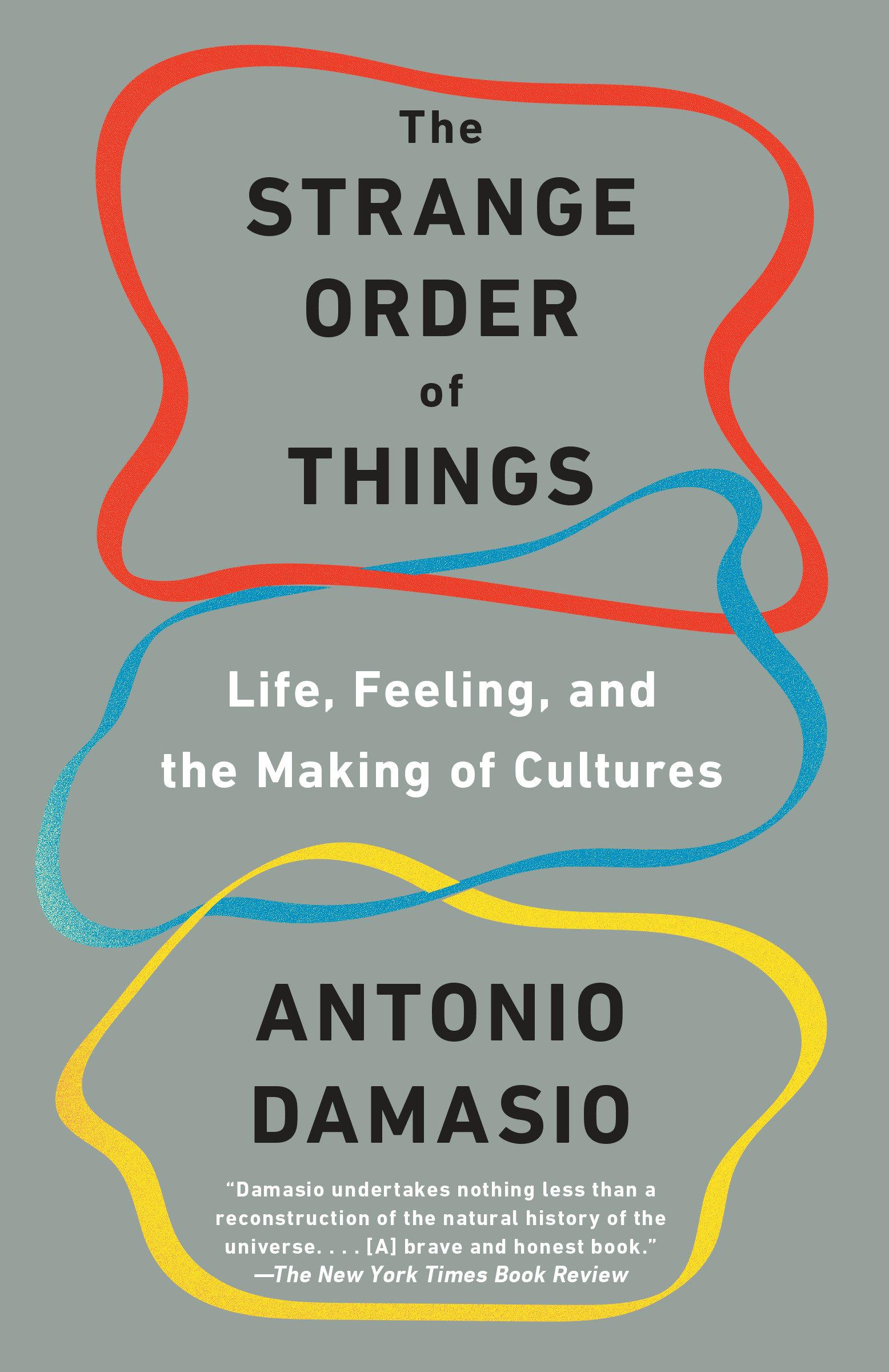 Vorderes Coverbild The Strange Order of Things