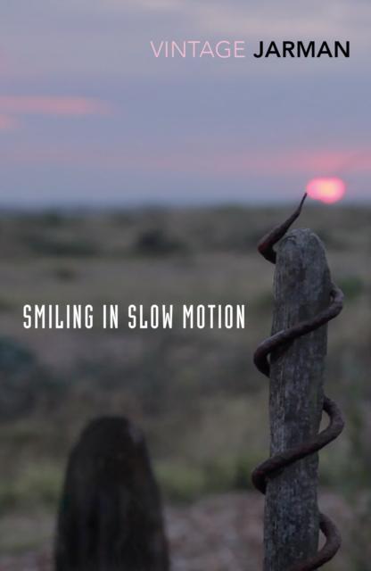 Vorderes Coverbild Smiling in Slow Motion