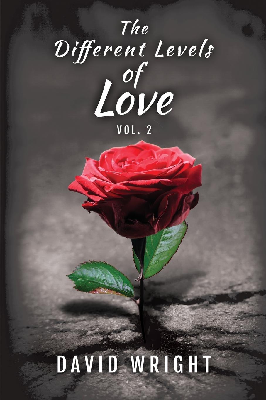 Vorderes Coverbild The Different Levels of Love, Volume 2