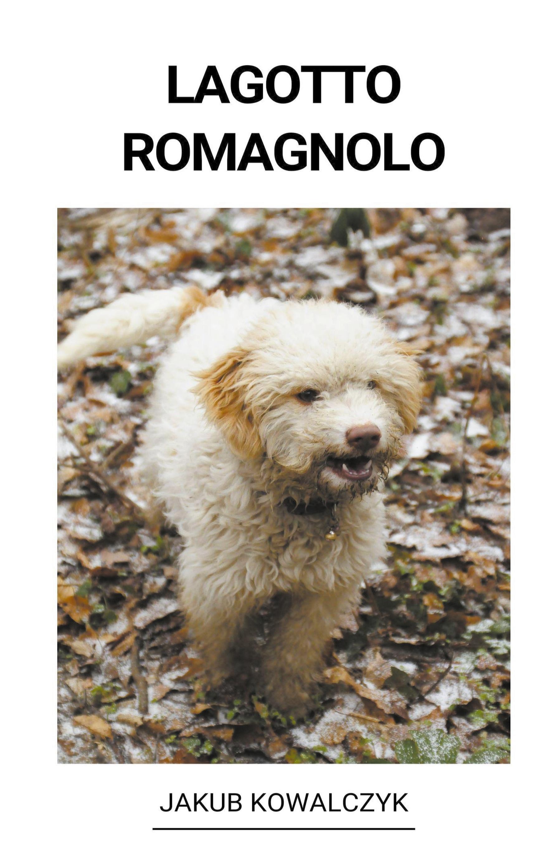Vorderes Coverbild Upon My Soul