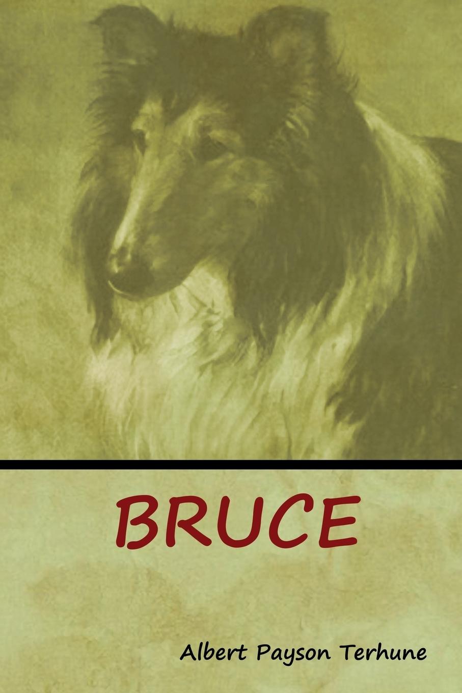 Vorderes Coverbild Bruce