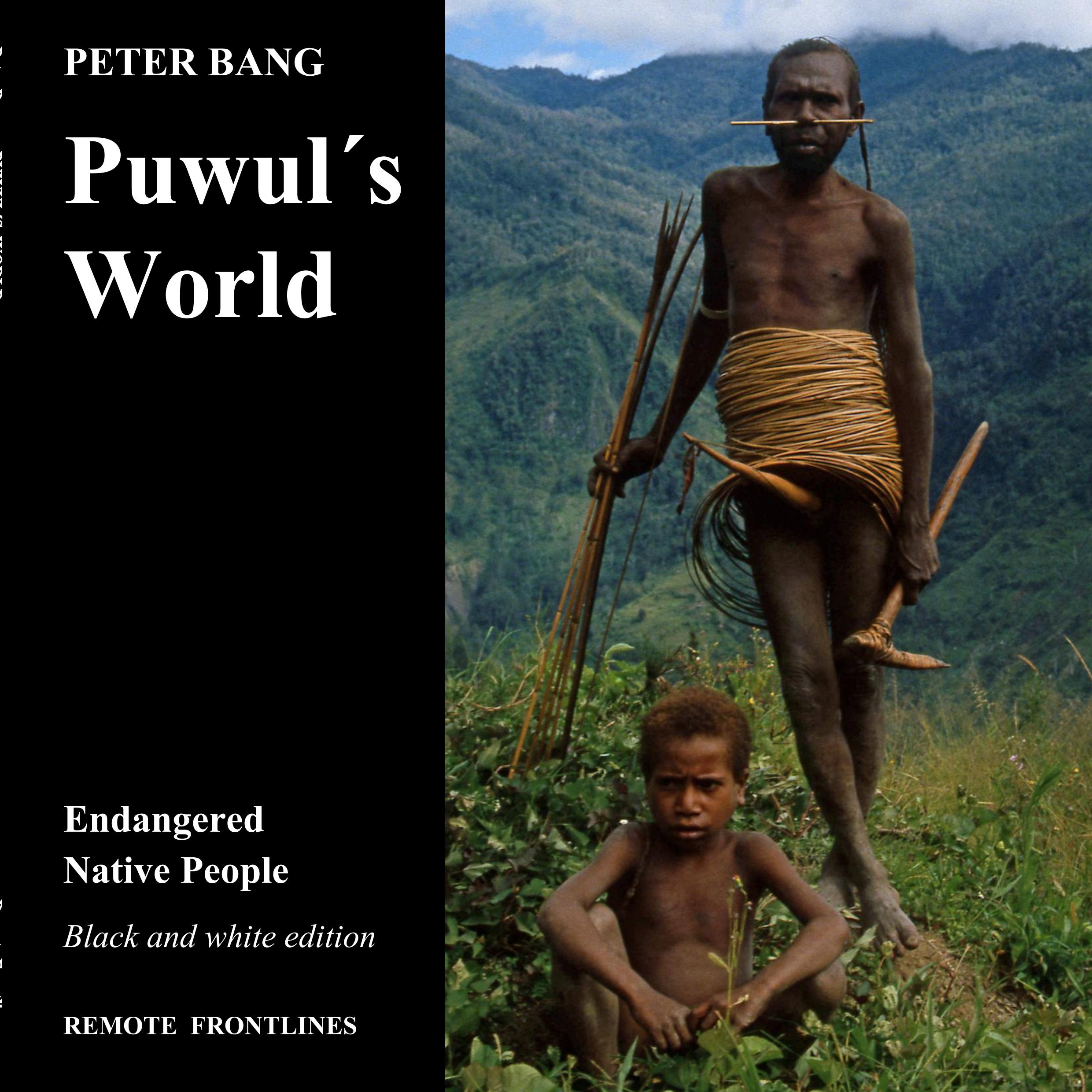 Vorderes Coverbild Puwul´s world