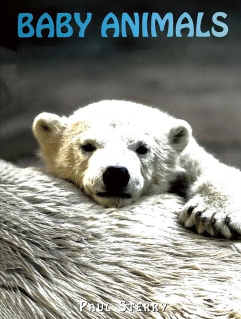 Vorderes Coverbild Baby Animals