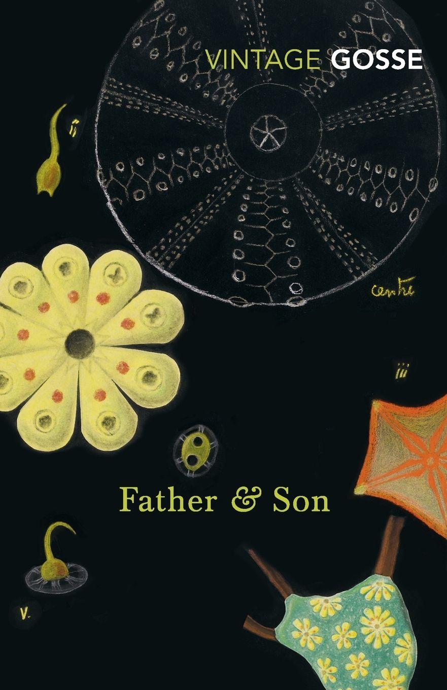 Vorderes Coverbild Father and Son