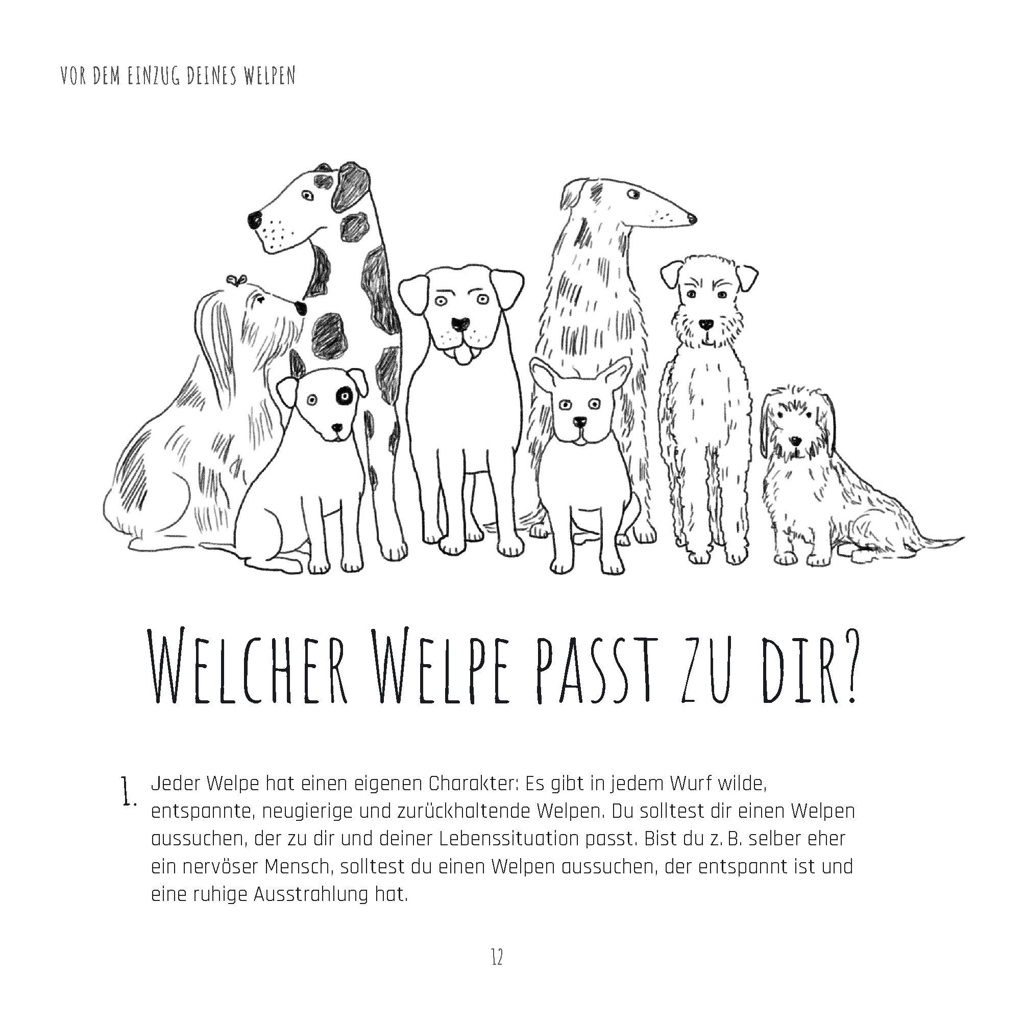 Beispielinhalt (Bild) Die Welpen-Fibel. Junge Hunde im ersten Lebensjahr: Sozialisierung, Erziehung, Beschäftigung