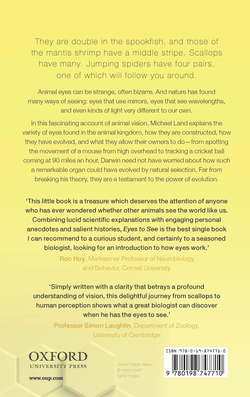 Rückseitencover Eyes to See