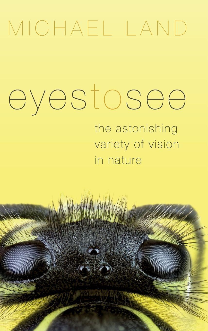 Vorderes Coverbild Eyes to See