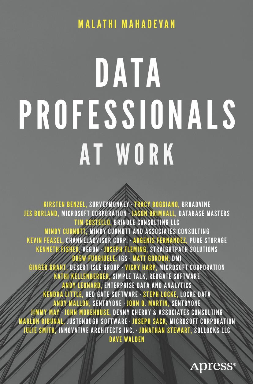 Vorderes Coverbild Data Professionals at Work