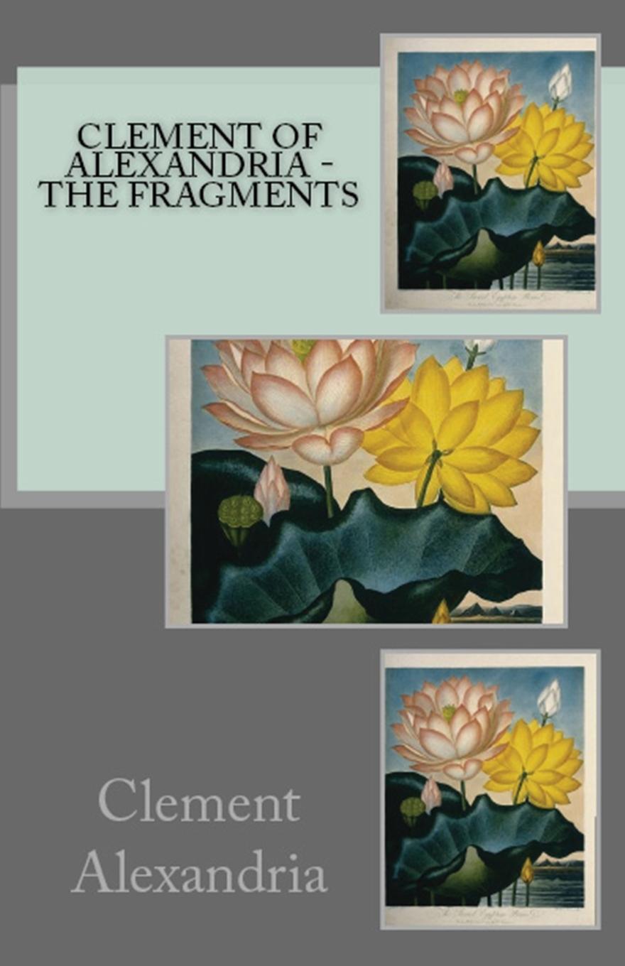 Vorderes Coverbild The Fragments