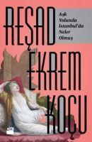 Vorderes Coverbild Ask Yolunda Istanbulda Neler Olmus