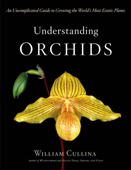 Vorderes Coverbild Understanding Orchids