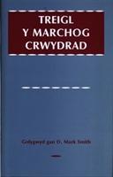 Vorderes Coverbild Treigl y Marchog Crwydrad