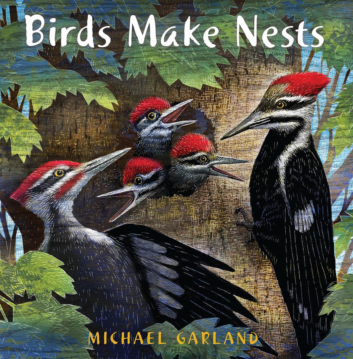 Vorderes Coverbild Birds Make Nests