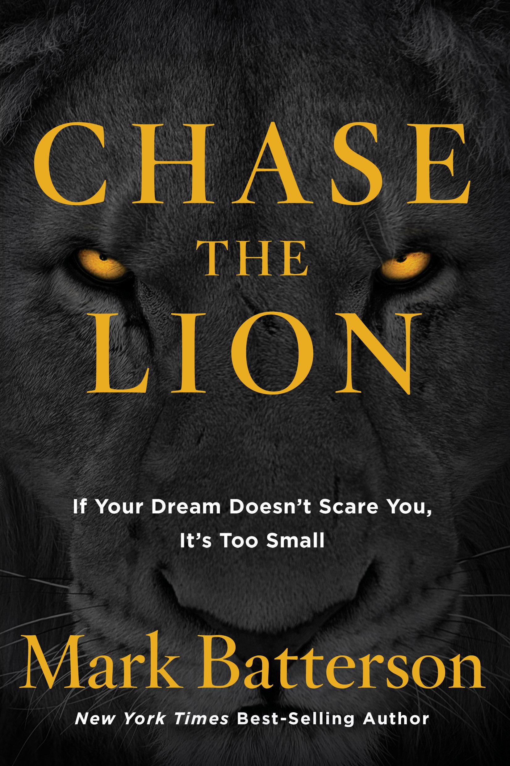 Vorderes Coverbild Chase the Lion