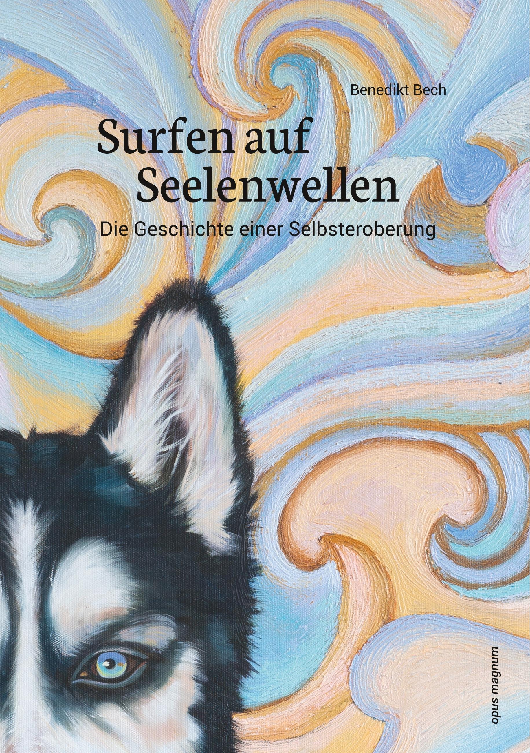Vorderes Coverbild Surfen auf  Seelenwellen