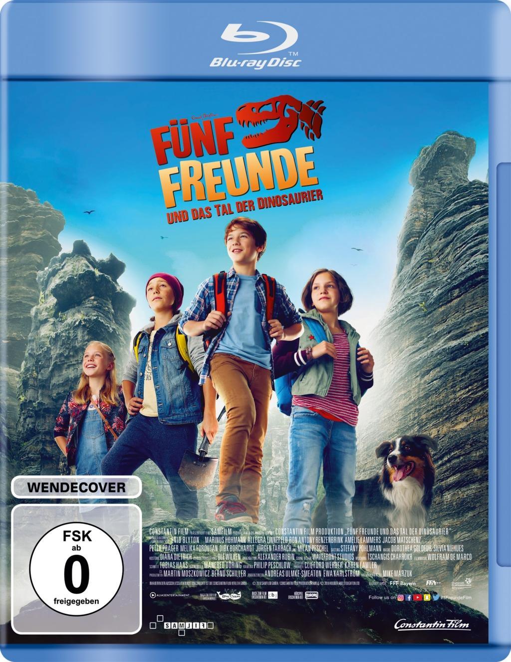 Vorderes Coverbild Fünf Freunde und das Tal der Dinosaurier