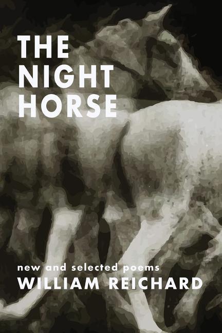 Vorderes Coverbild The Night Horse