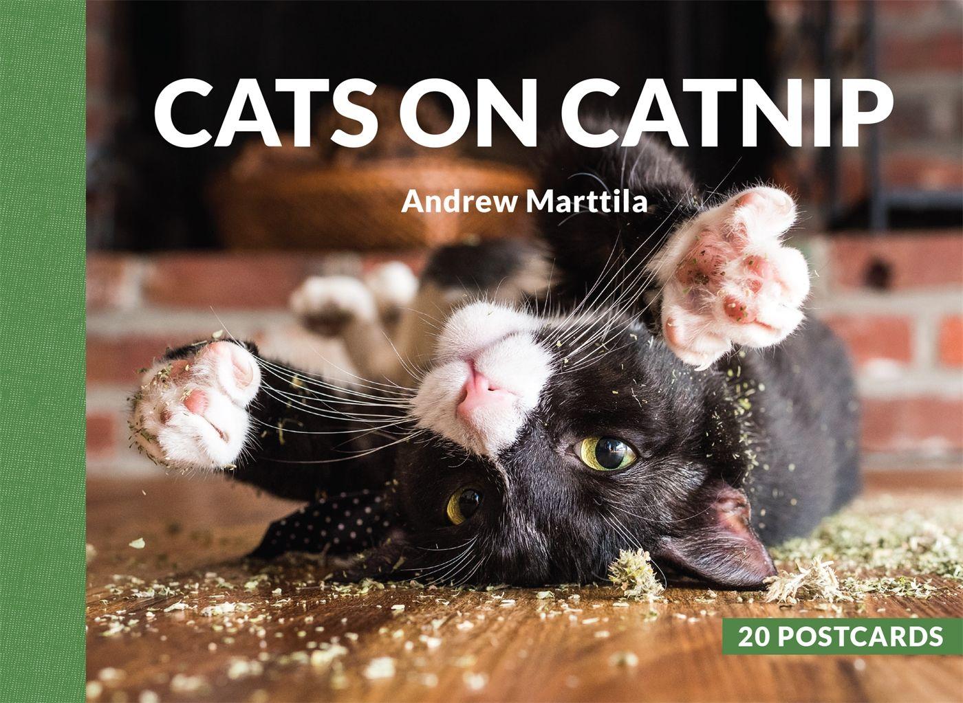 Vorderes Coverbild Cats on Catnip: 20 Postcards
