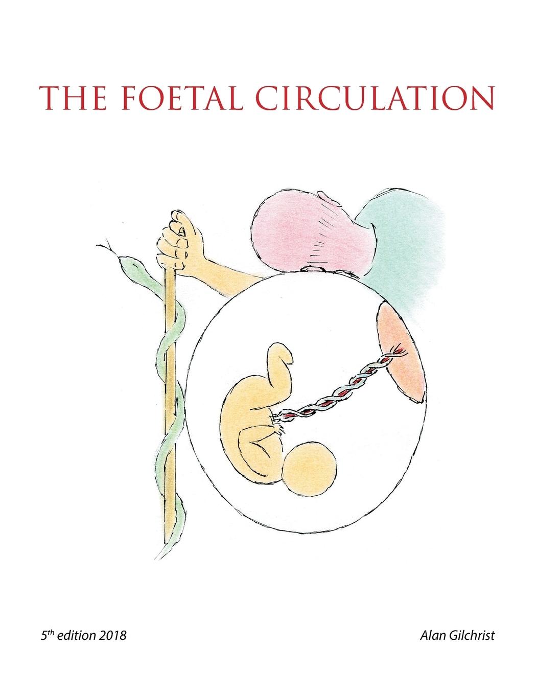 Vorderes Coverbild The Foetal Circulation