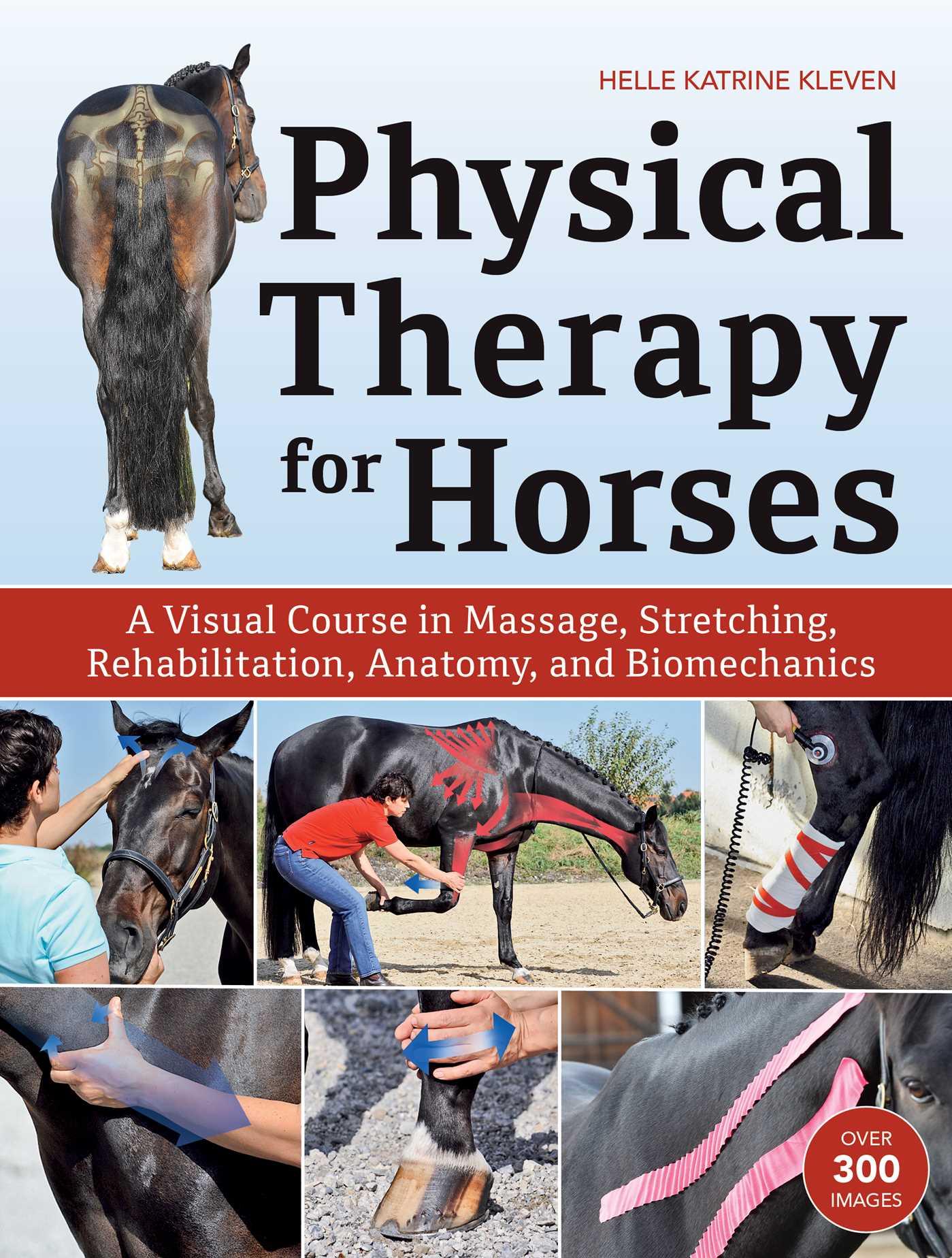 Vorderes Coverbild Physical Therapy for Horses