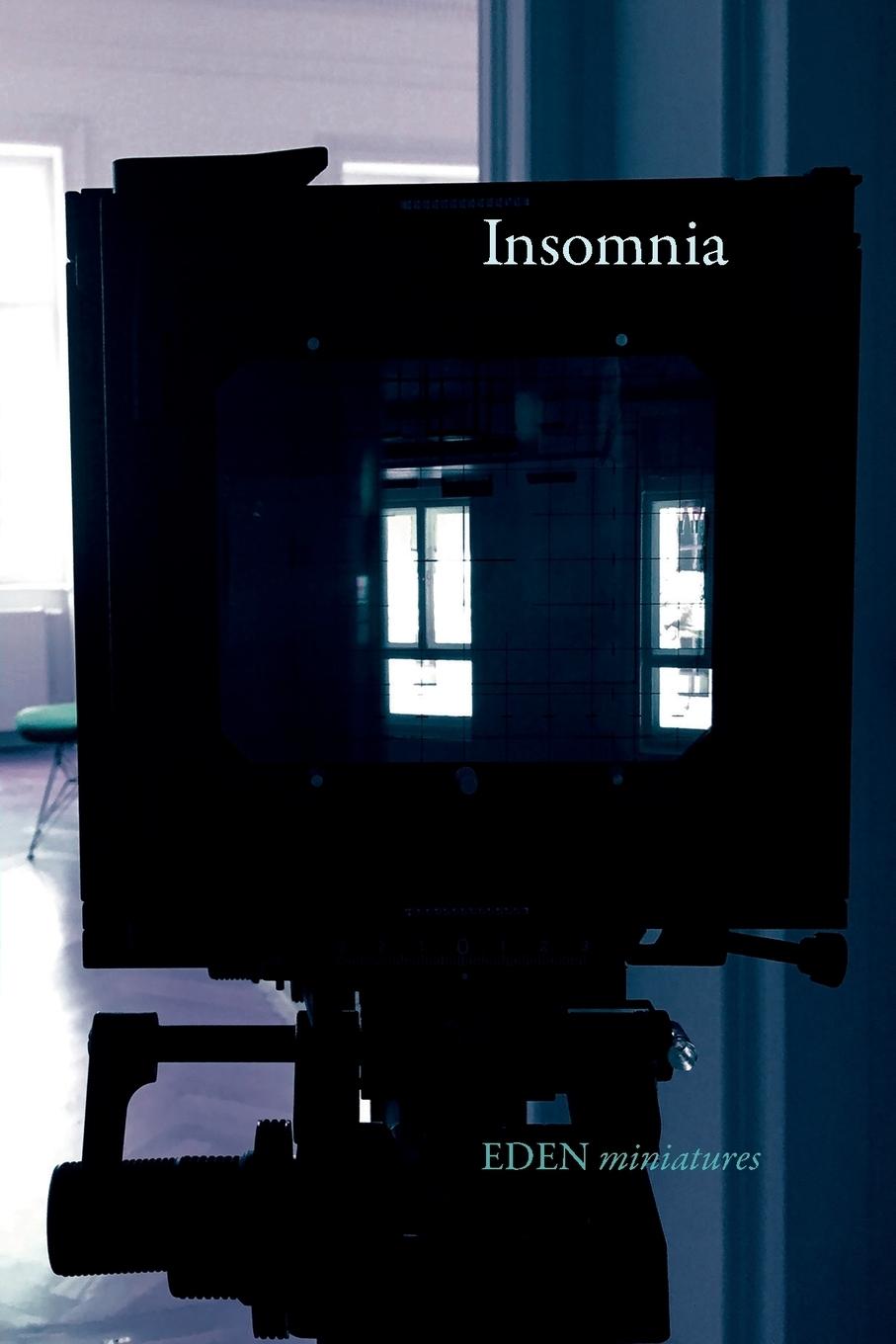 Vorderes Coverbild Insomnia