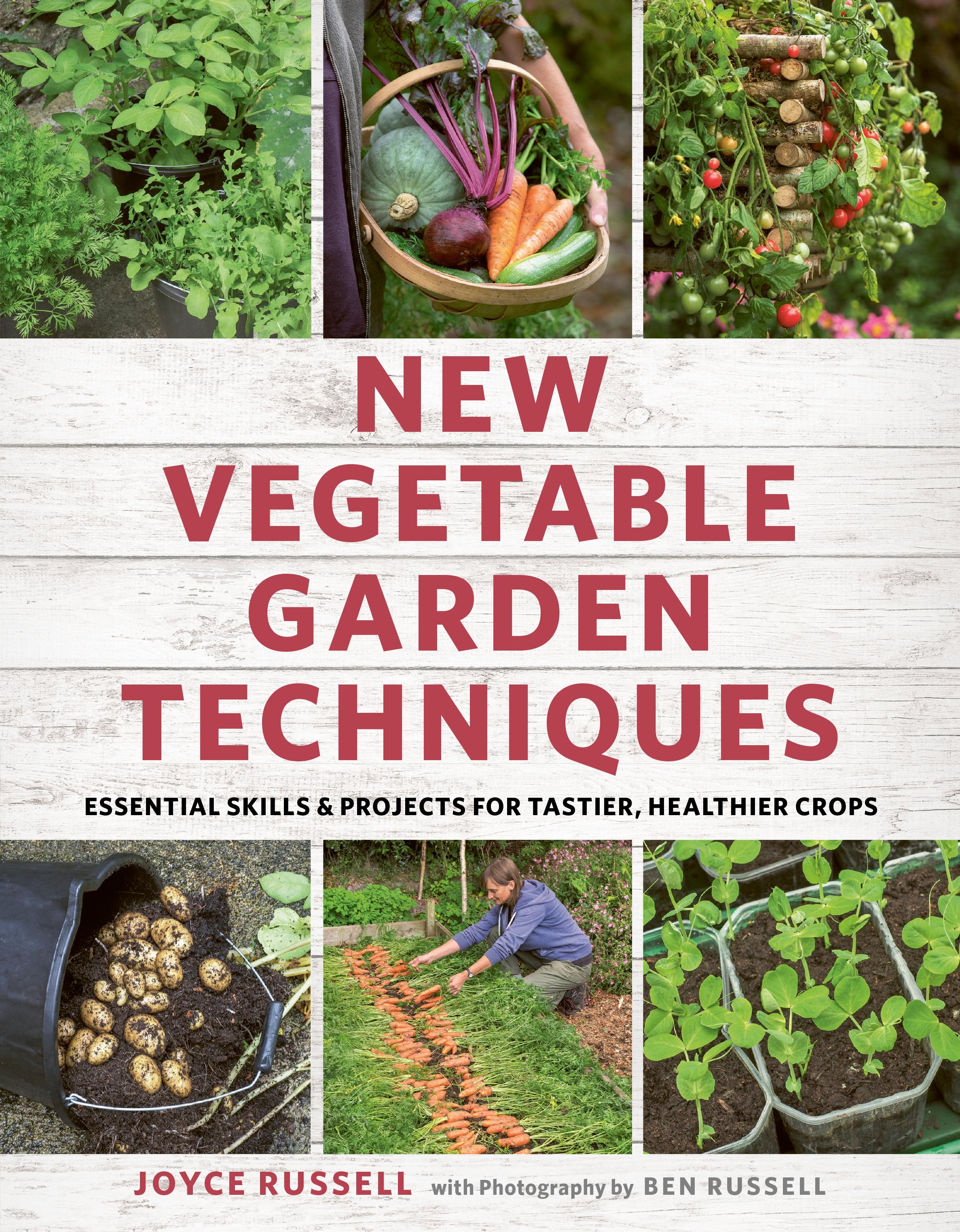 Vorderes Coverbild New Vegetable Garden Techniques