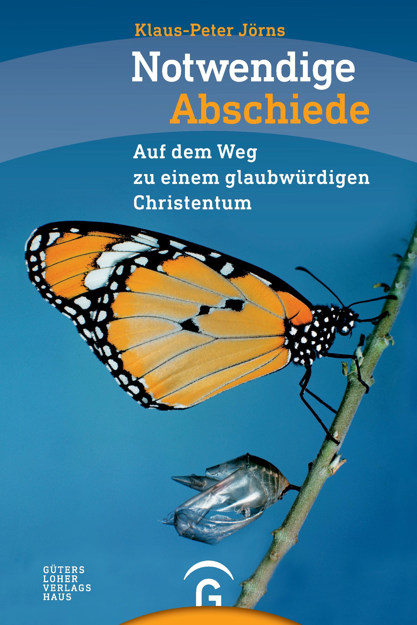 Vorderes Coverbild Notwendige Abschiede