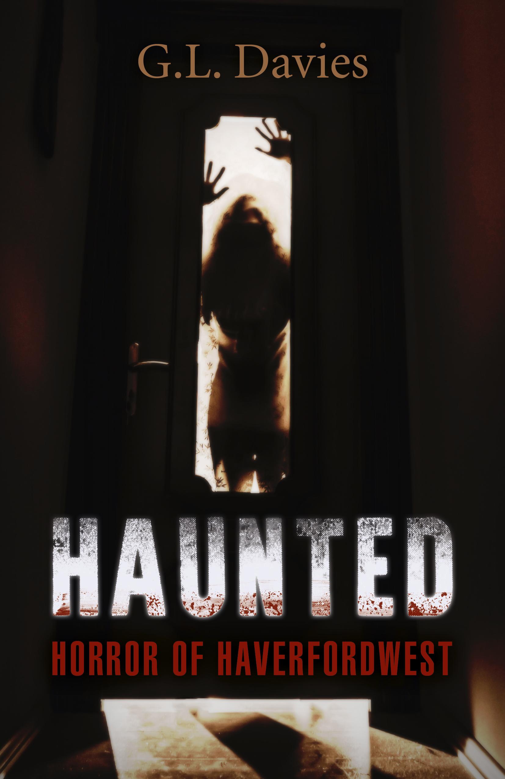 Vorderes Coverbild Haunted