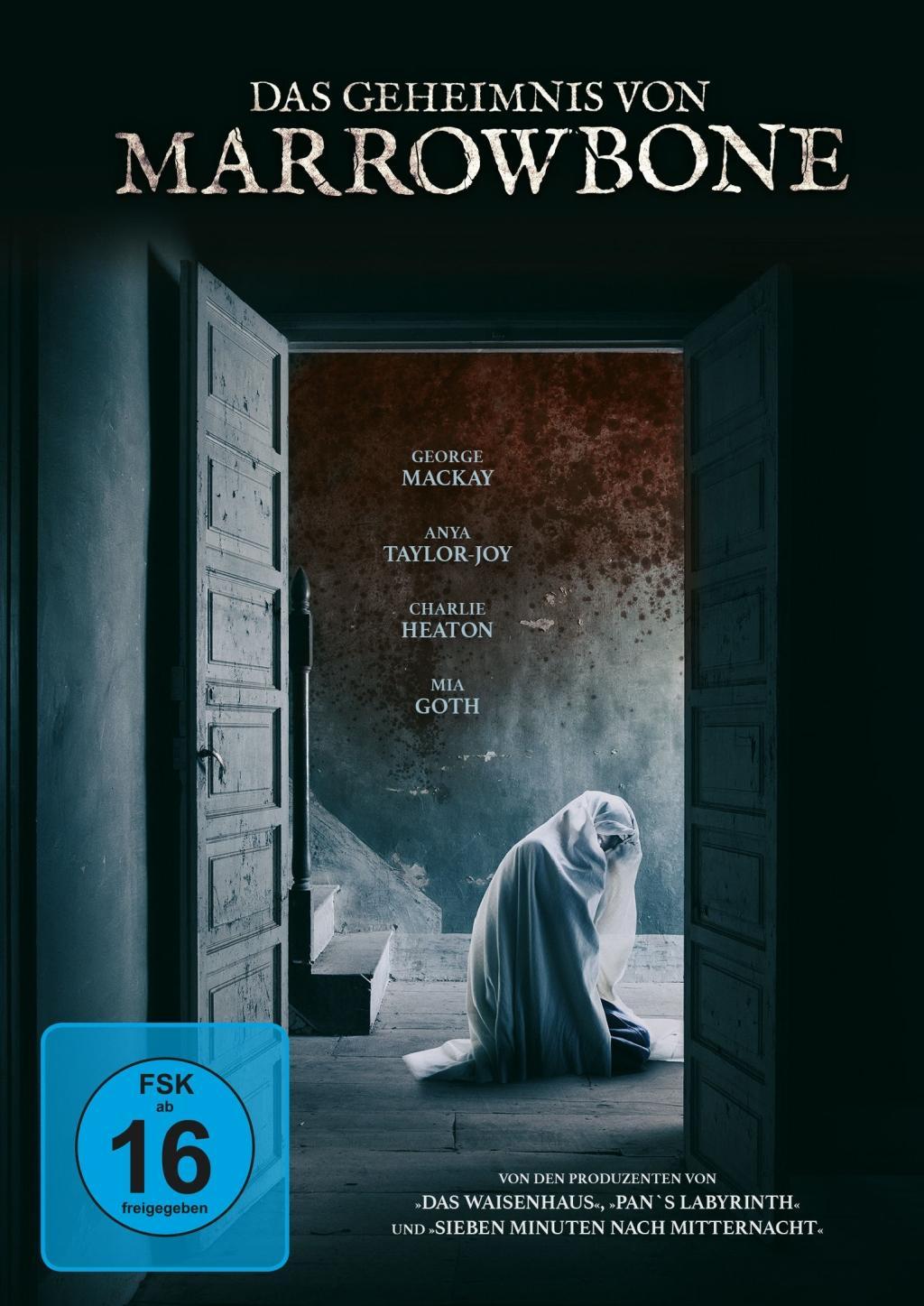 Vorderes Coverbild Das Geheimnis von Marrowbone