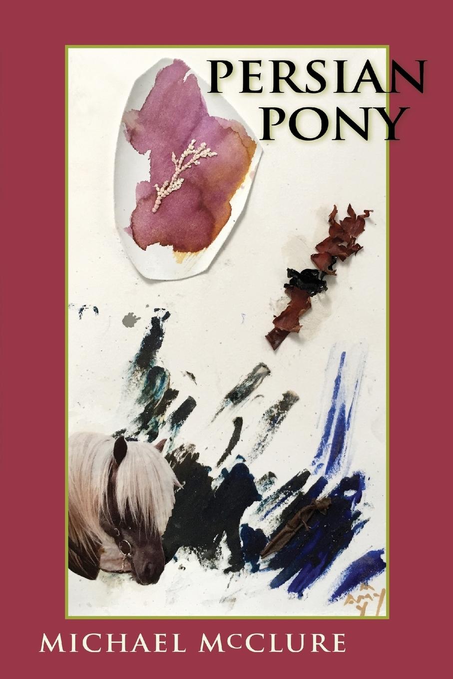 Vorderes Coverbild Persian Pony