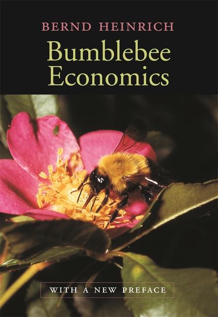 Vorderes Coverbild Bumblebee Economics