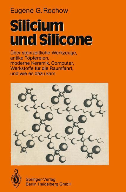 Vorderes Coverbild Silicium und Silicone