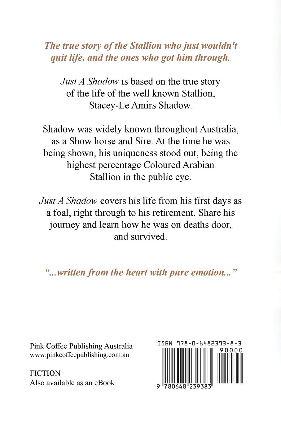 Rückseitencover Just A Shadow