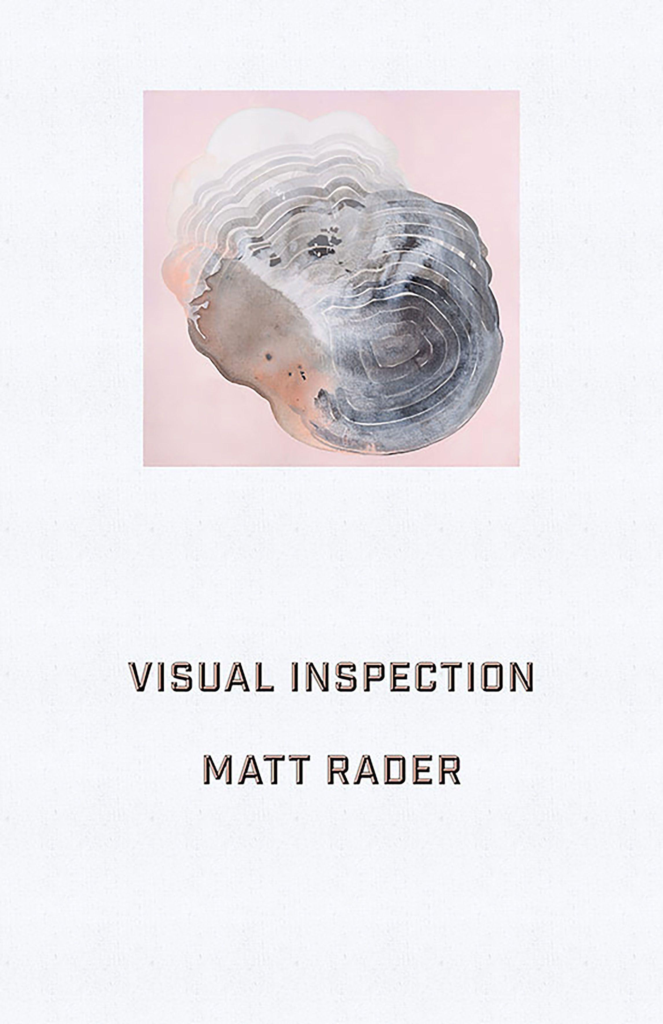 Vorderes Coverbild Visual Inspection