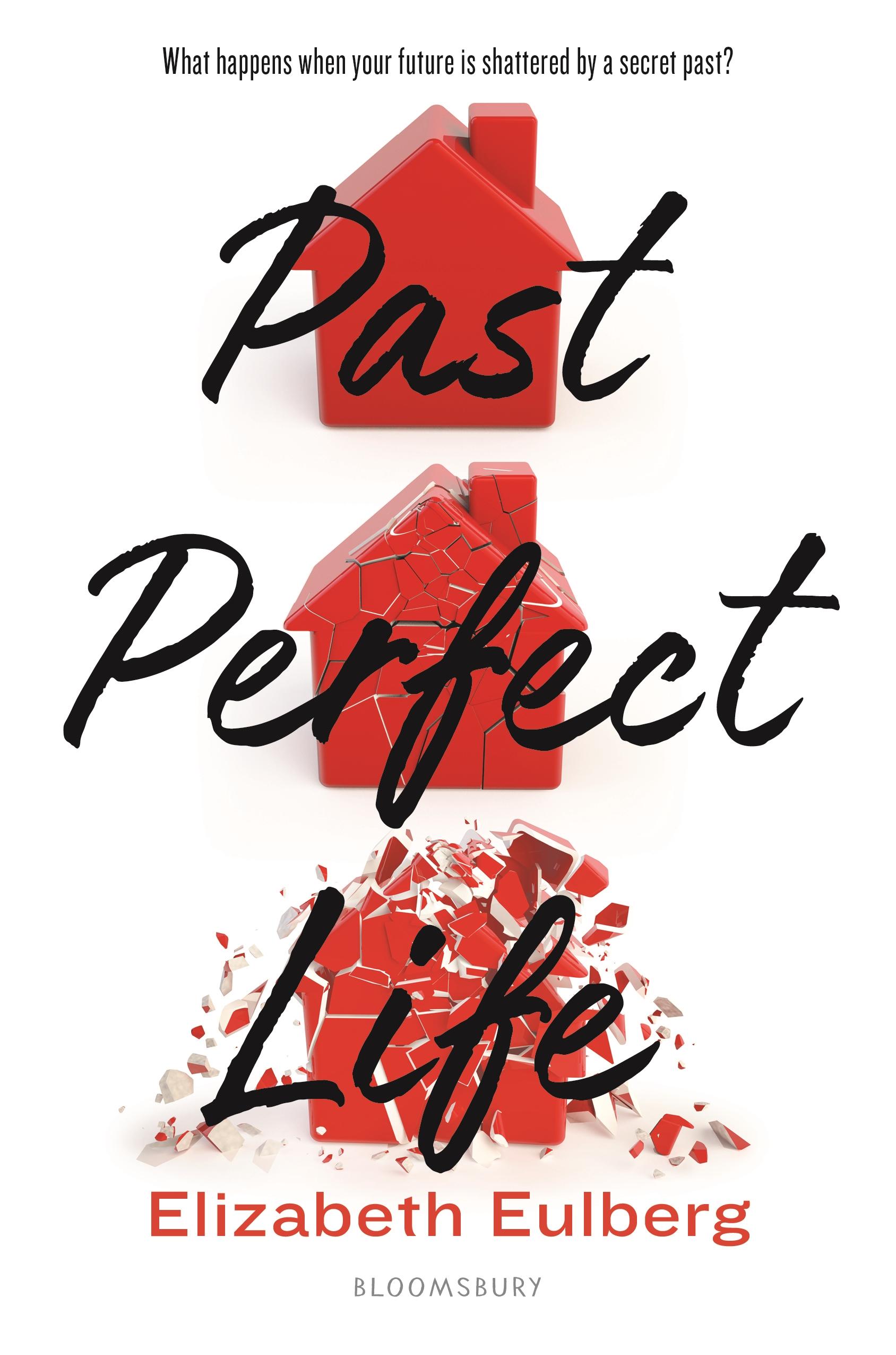 Vorderes Coverbild Past Perfect Life